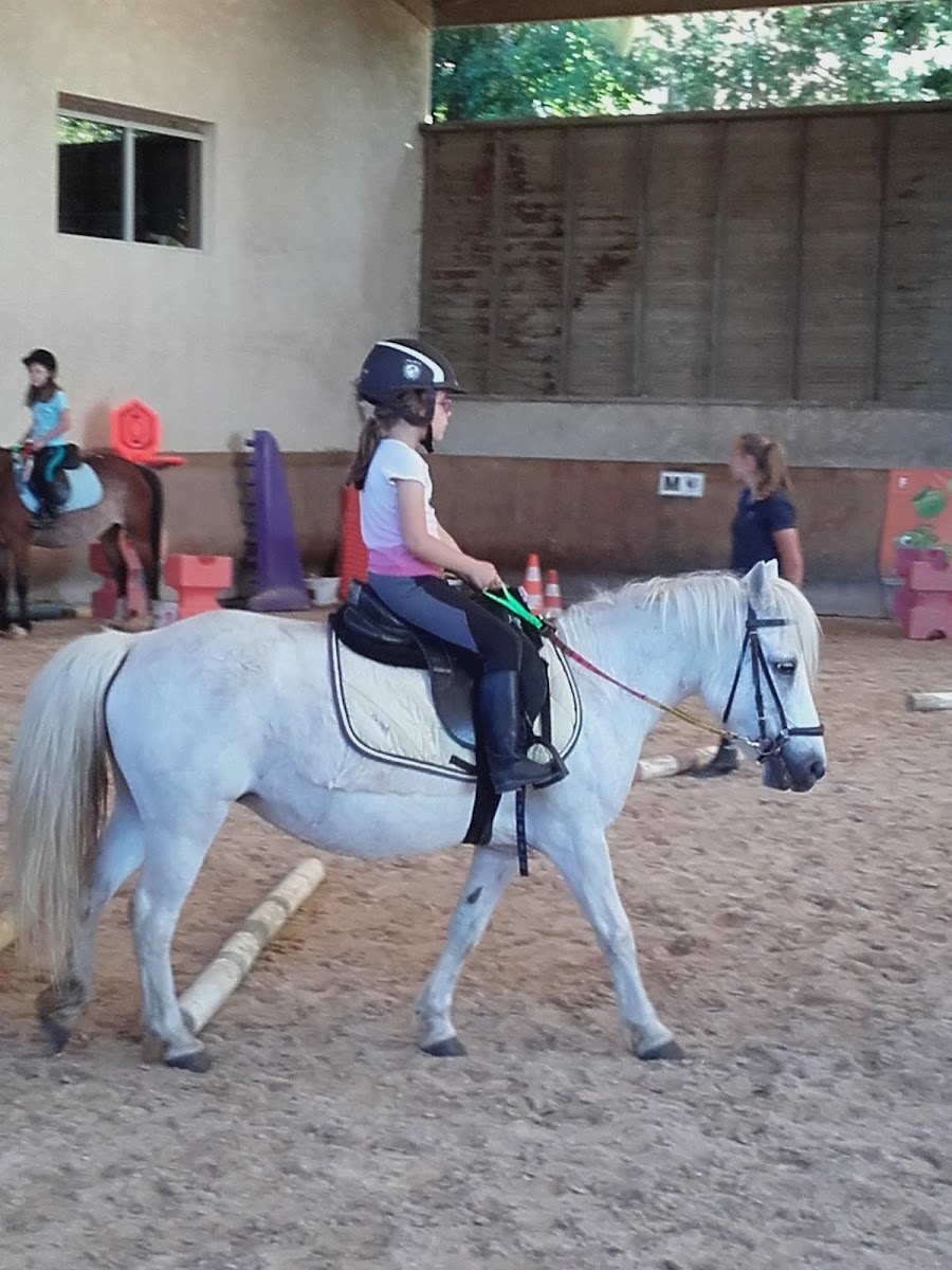 Photo de PONEY CLUB STE CONSORCE