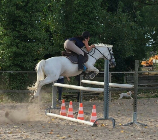 Photo de PONEYLAND DE LUISANT