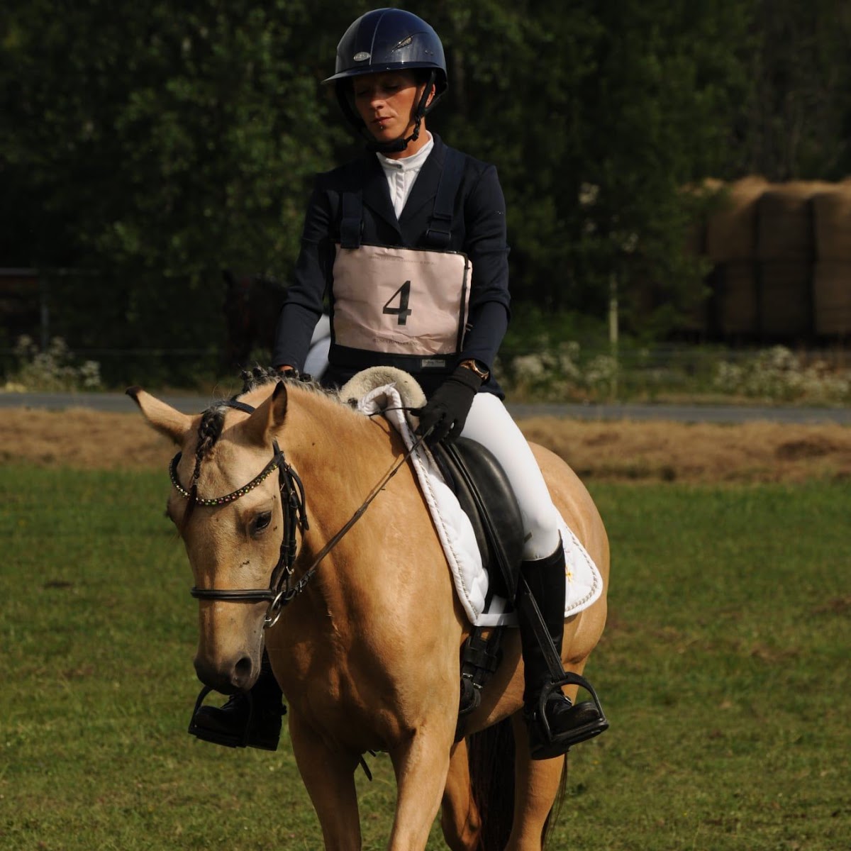 Photo de PONEYS BLACKSTONE ÉQUITATION