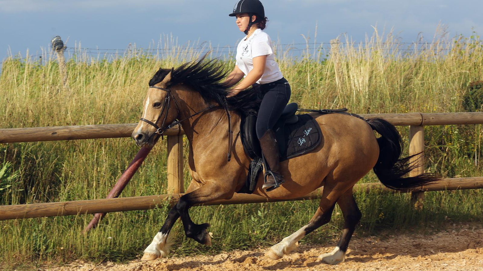 Photo de Pony Gônes