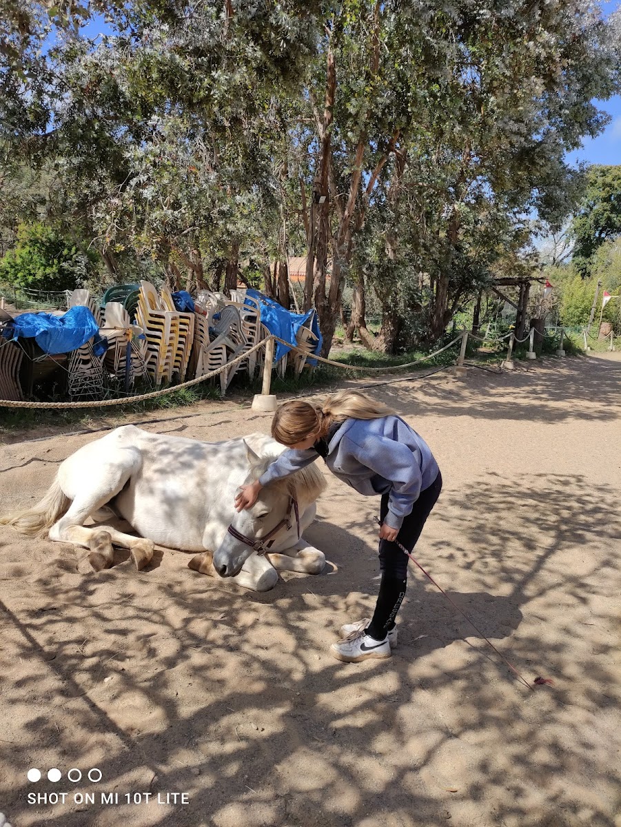 Photo de PONY S RANCH