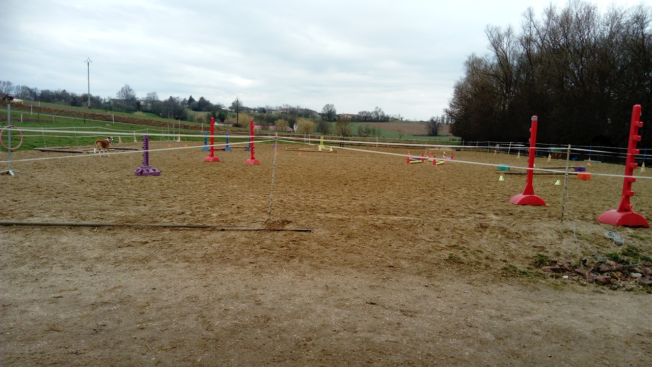 Photo de PONY VEYLE