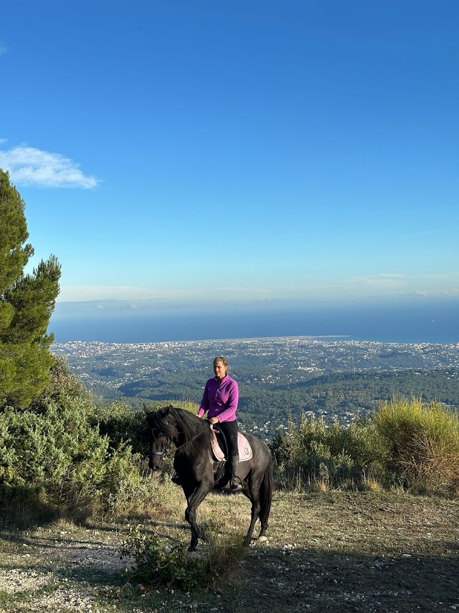 Photo de RANCH DES BAOUS