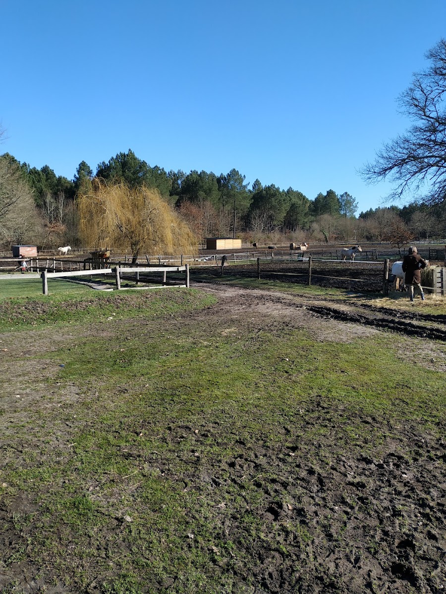 RANCH DES LAMBERTS