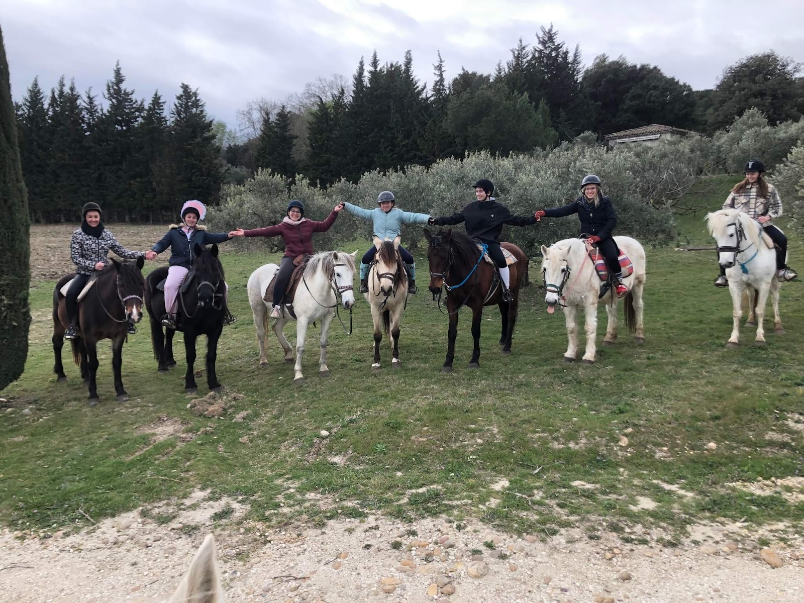 Photo de RANCH DES MARAIS