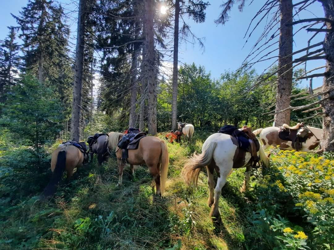 Photo de RANCH DES PORTES DU SOLEIL