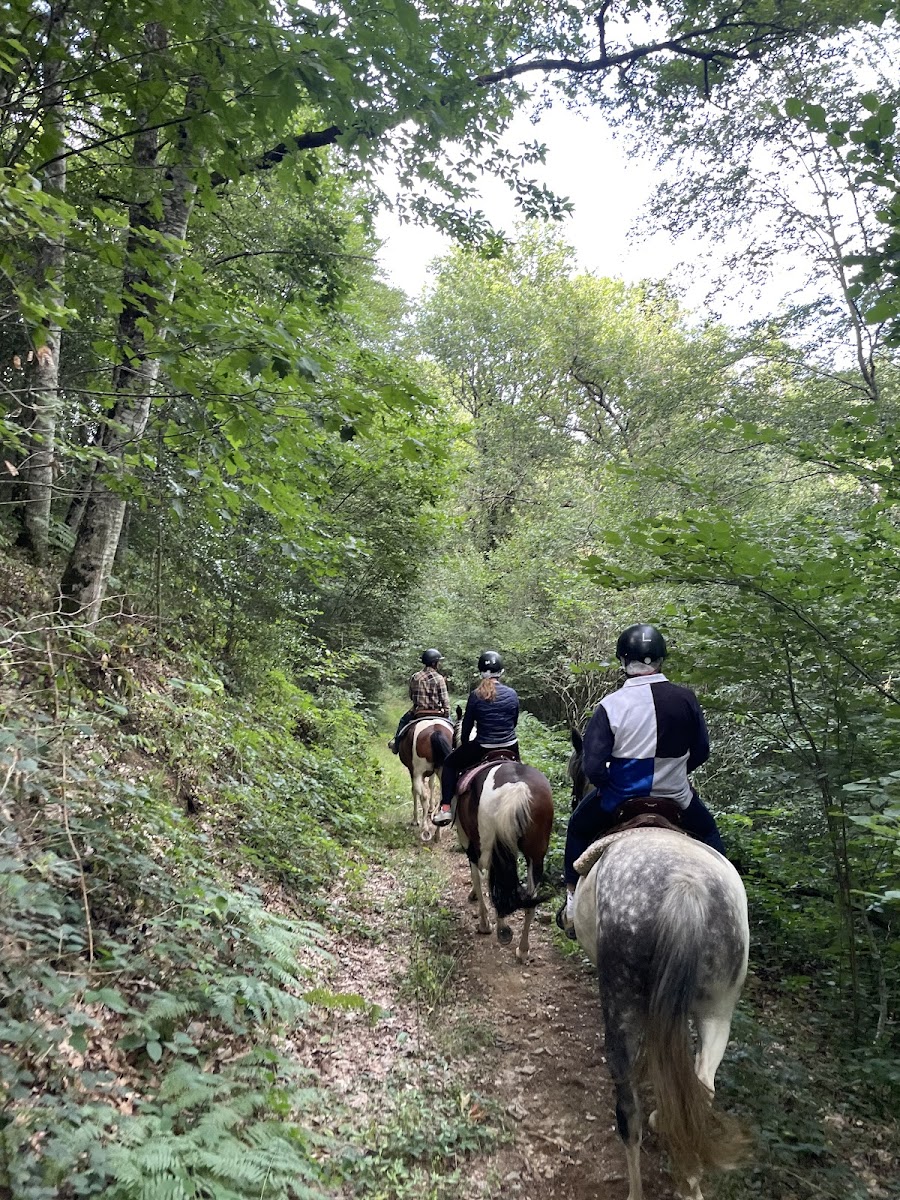 Photo de RANCH DU LEVEZOU