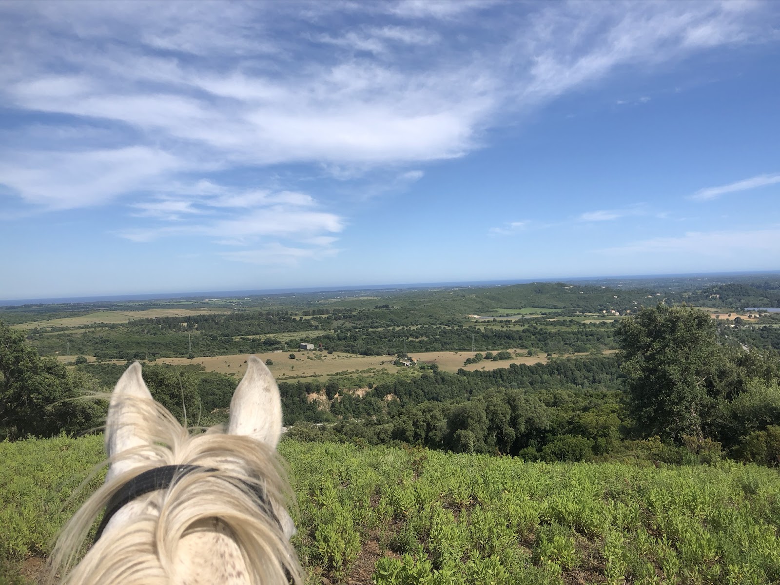 Photo de RANCH MALENA