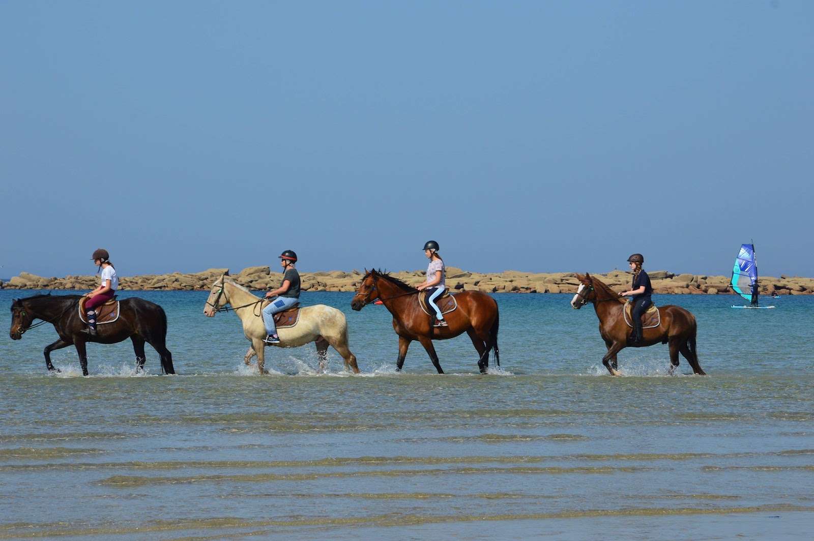 Photo de RULAN EQUITATION