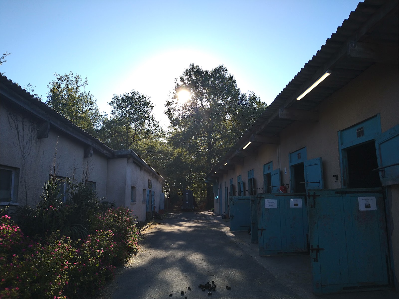 Photo de S H DE BLANQUEFORT