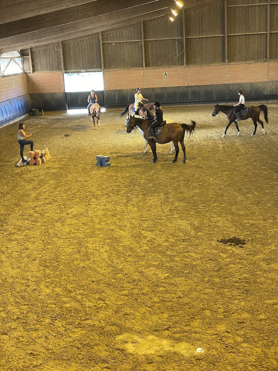 Photo de S H E N VETERINAIRE TOULOUSE