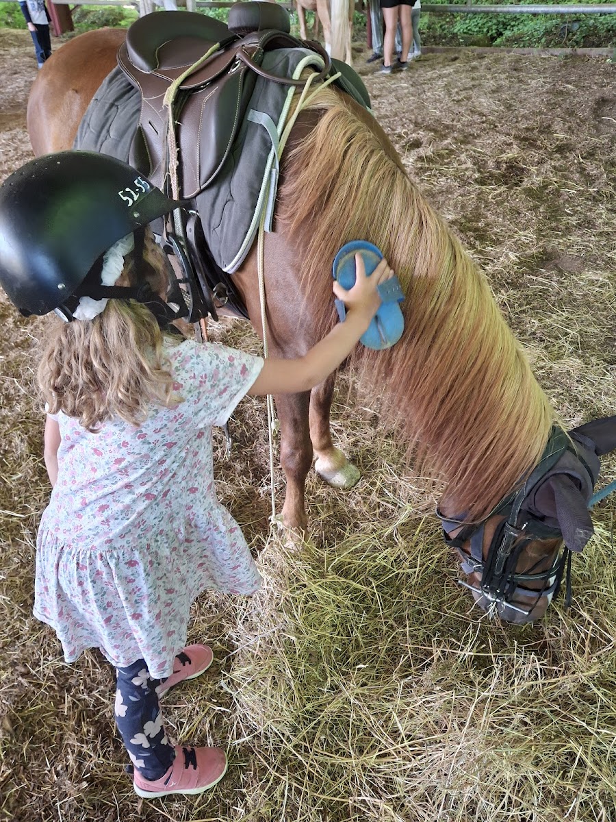 Photo de SAINT CERE EQUITATION