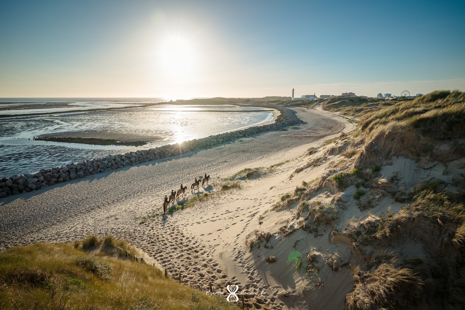 Photo de SARL HENSON LA MOLIERE DE BERCK