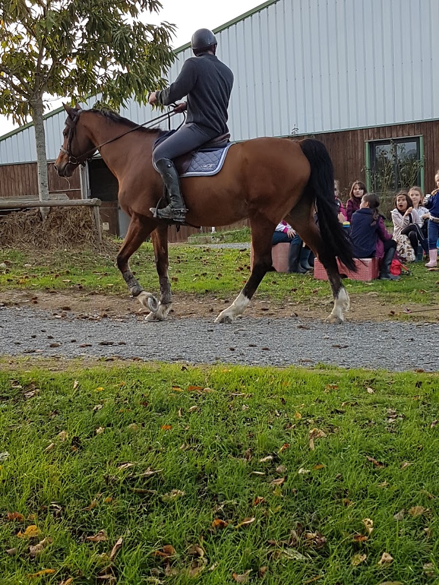 Photo de SARL L ETRIER CHOLETAIS