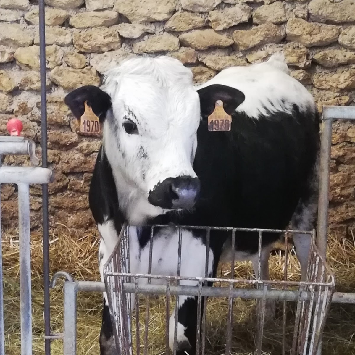 Photo de SARL LA FERME DE COURCELLES