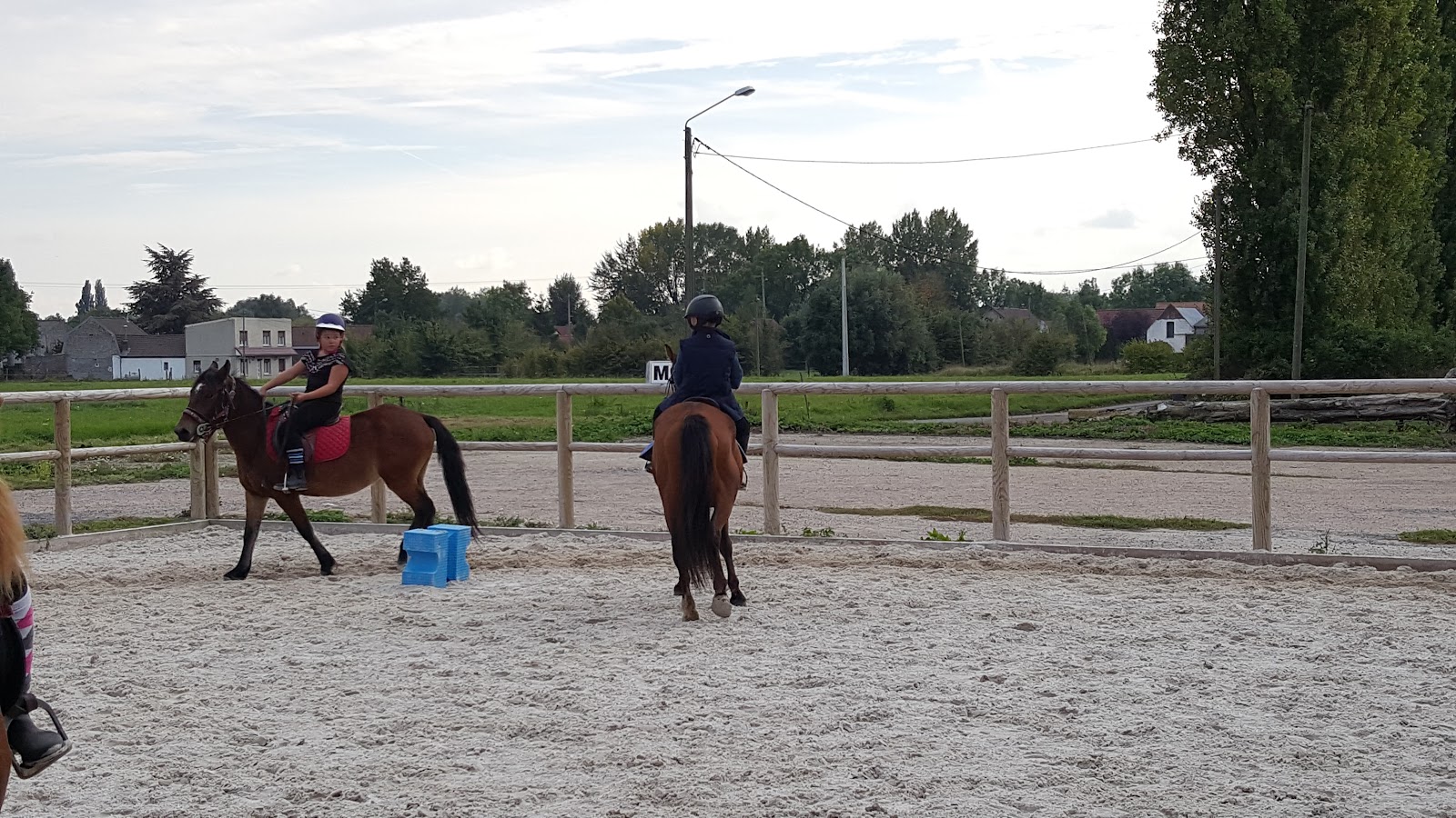 Photo de SARL LES ECURIES DU ROMBLAY