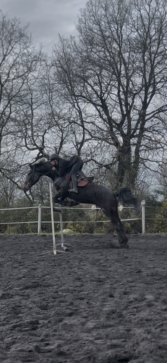 Photo de SAS EQUI LOISIR