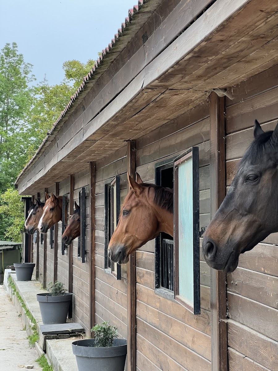 Photo de SAS HARAS DES SOURCES