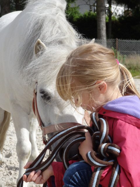 Photo de SCEA CENTRE EQUESTRE DE L ALLIANCE