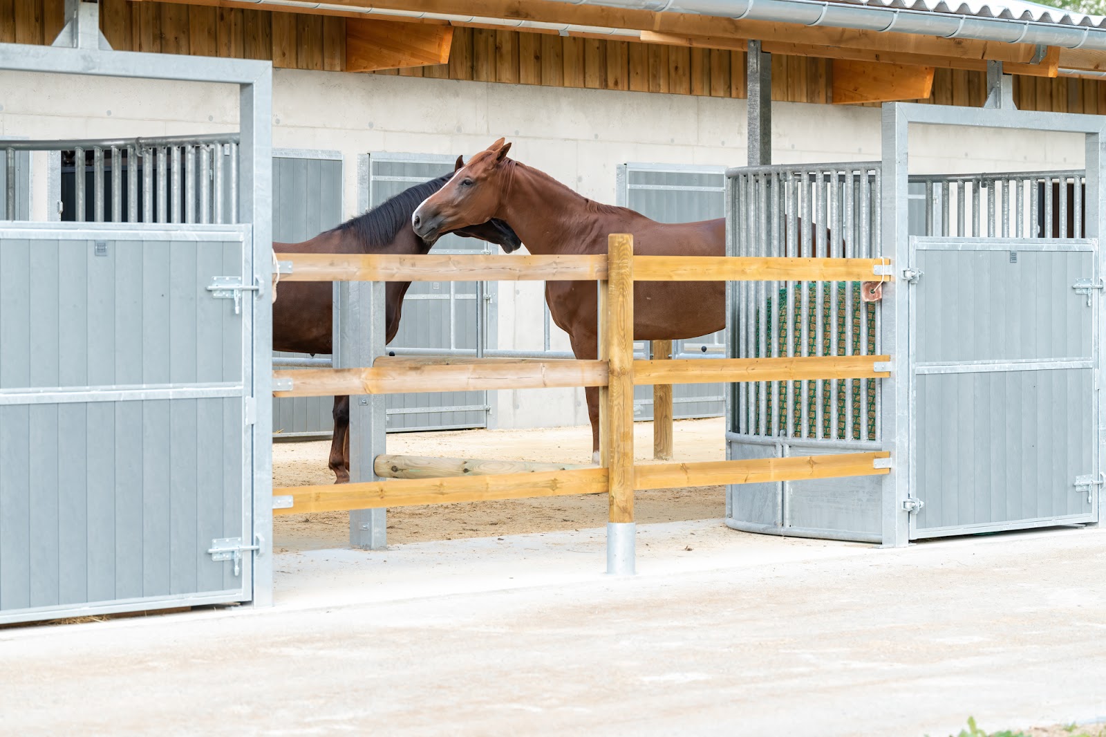 Photo de SCEA DU HARAS DE GLOS
