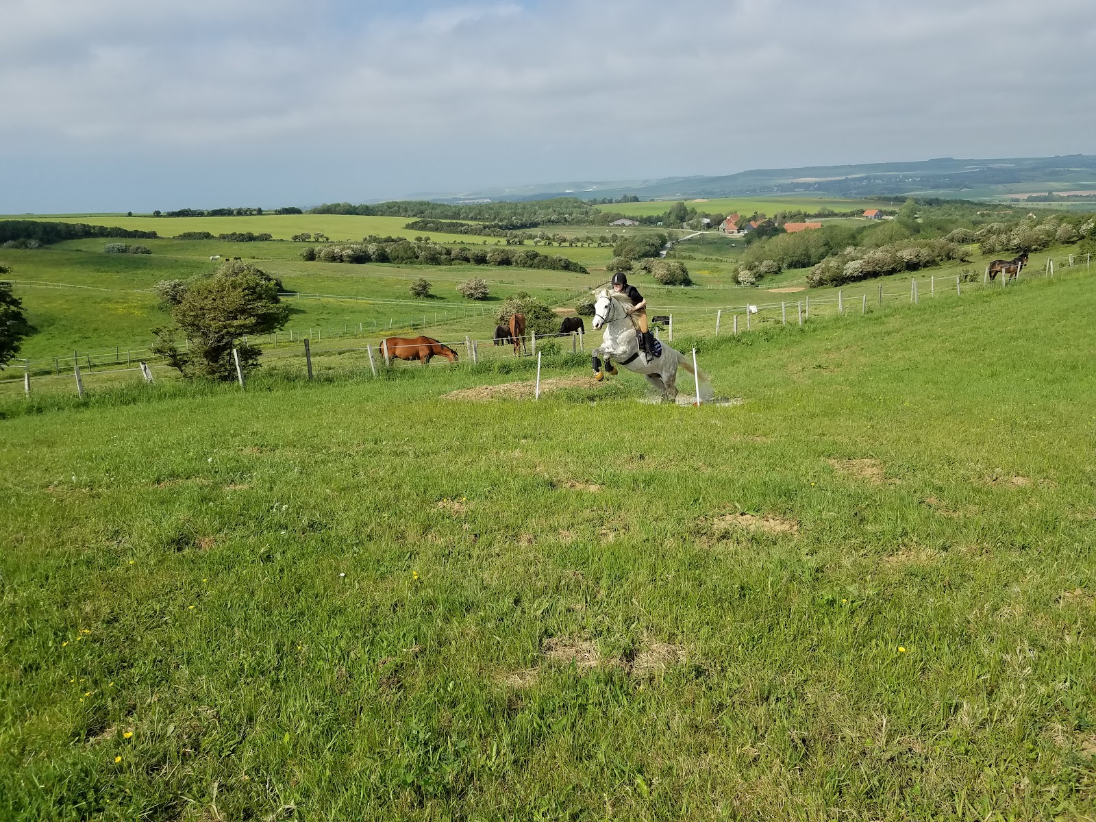 Photo de SCEA DU MONT DE LA LOUVE