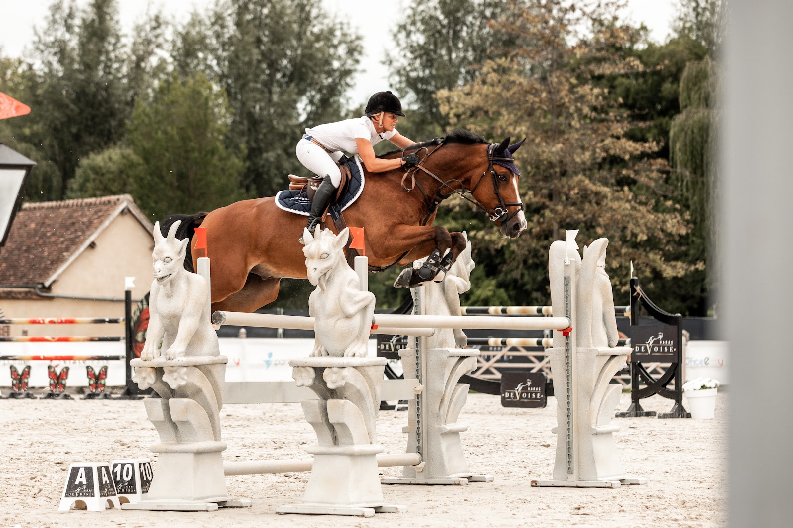 Photo de SCEA ELEVAGE DE VOISE