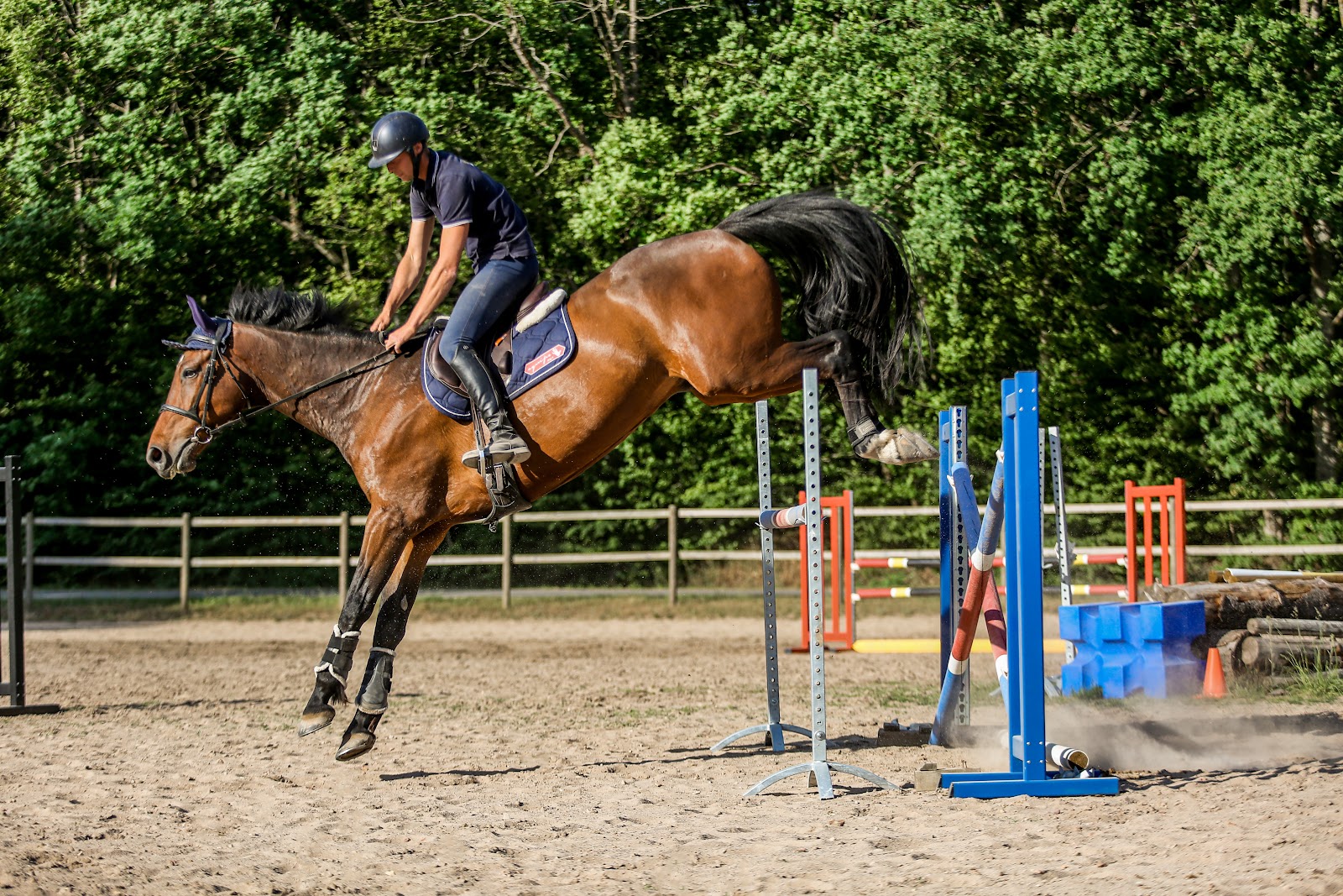 Photo de SCEA L ECRIN DU CHEVAL