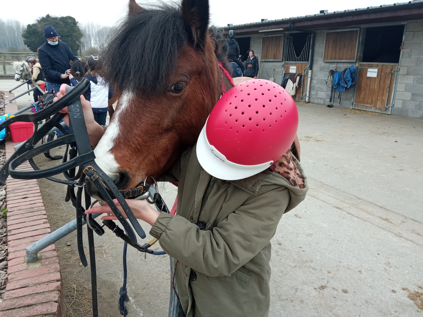 Photo de SCEA LES ECURIES DU PREDEMBOURG