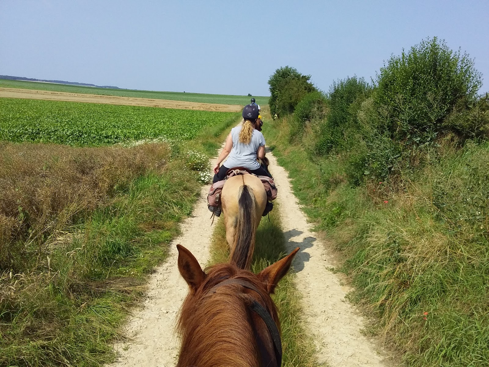 Photo de SOMME RANDONNEES A CHEVAL