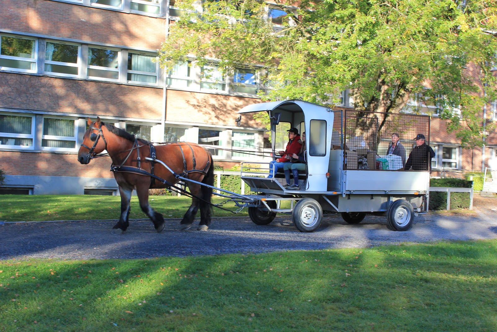 Photo de SYND ELEVAGE DU CHEVAL TRAIT DU NORD