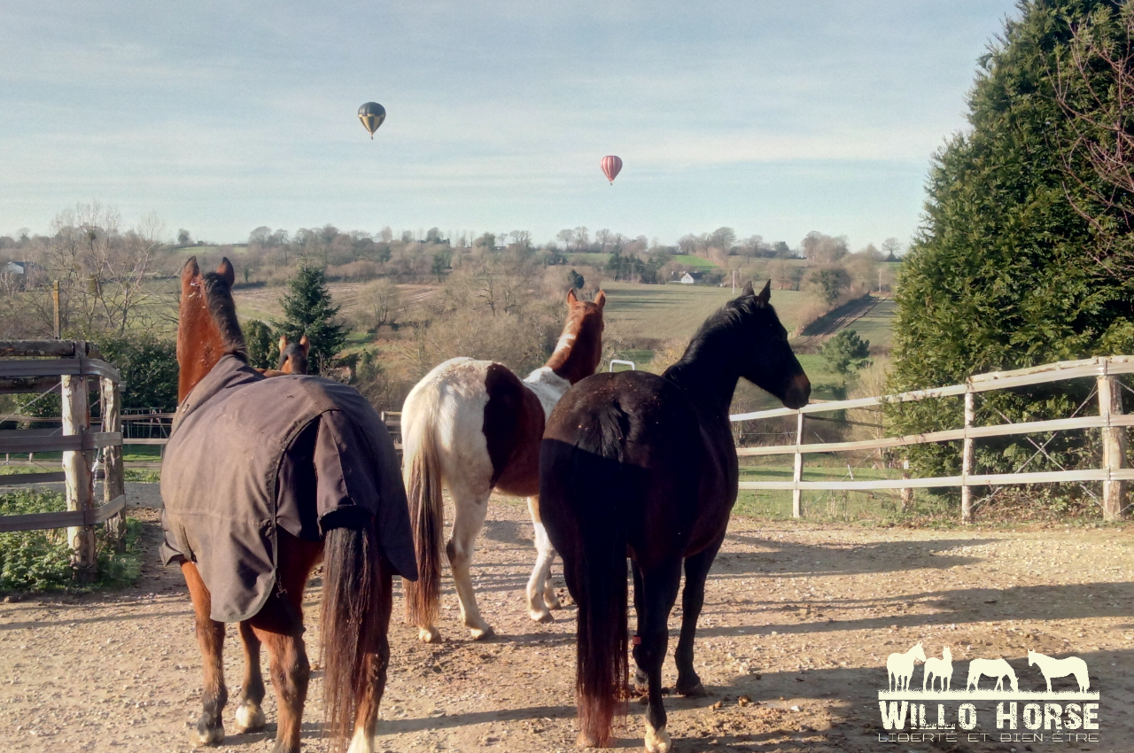 Photo de TIPI RANCH