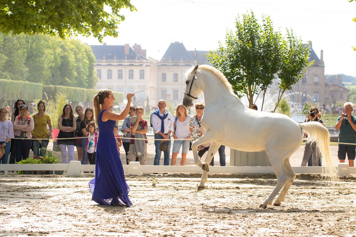 Photo de TROUPE DE SPECTACLE EQUESTRE LIBERTAD