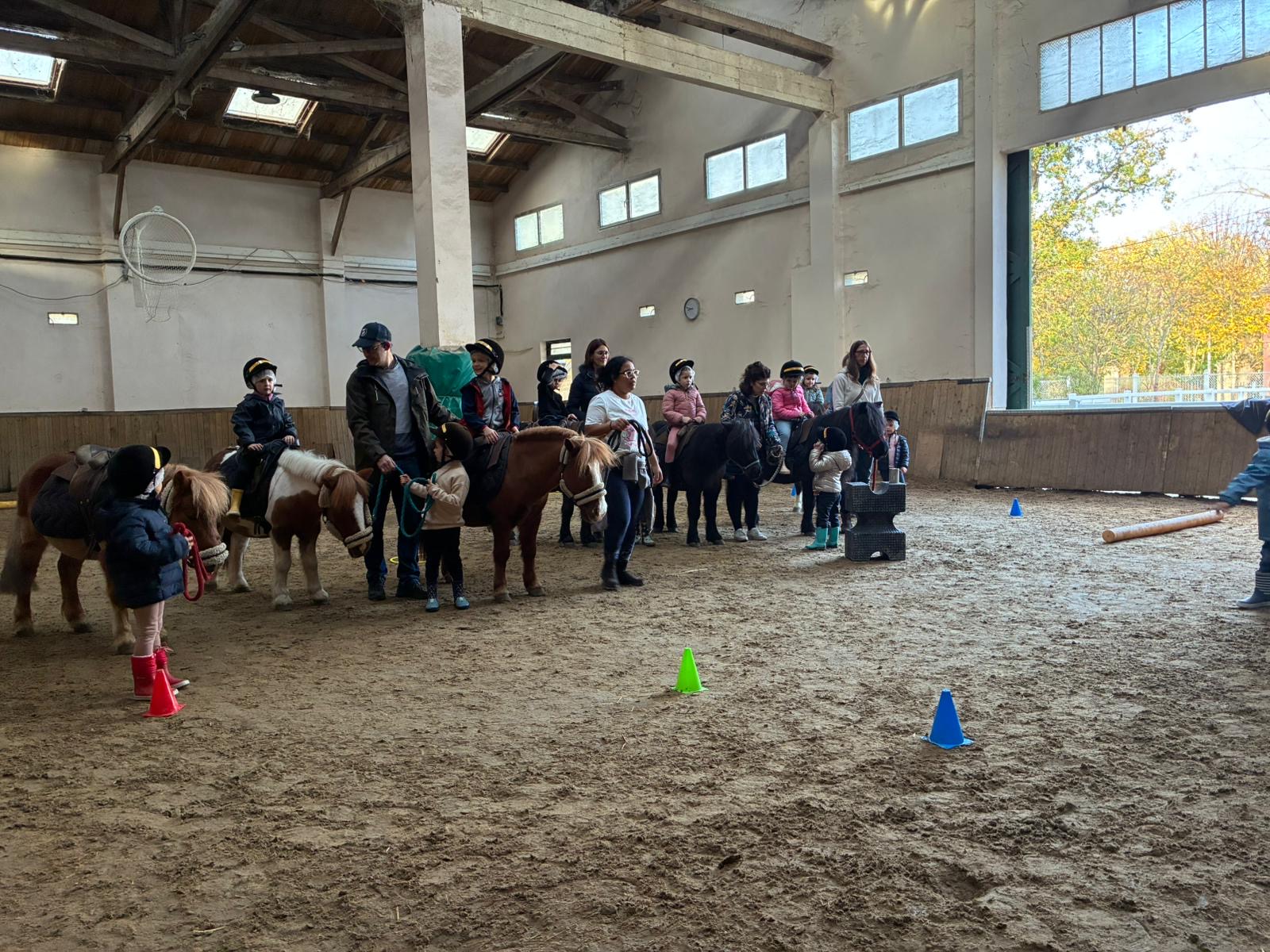 Photo de TXIKI PONEYS