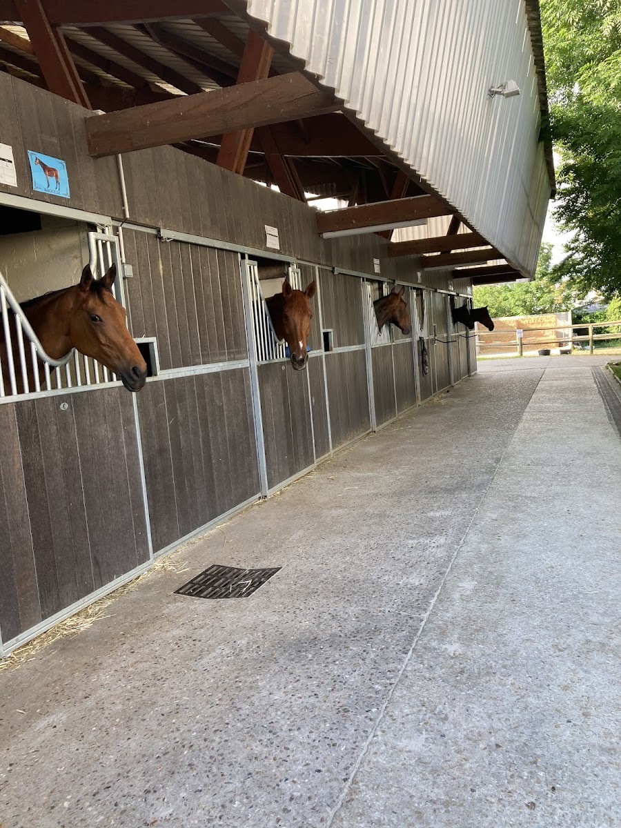 Photo de UCPA SPORT LOISIRS BRY SUR MARNE