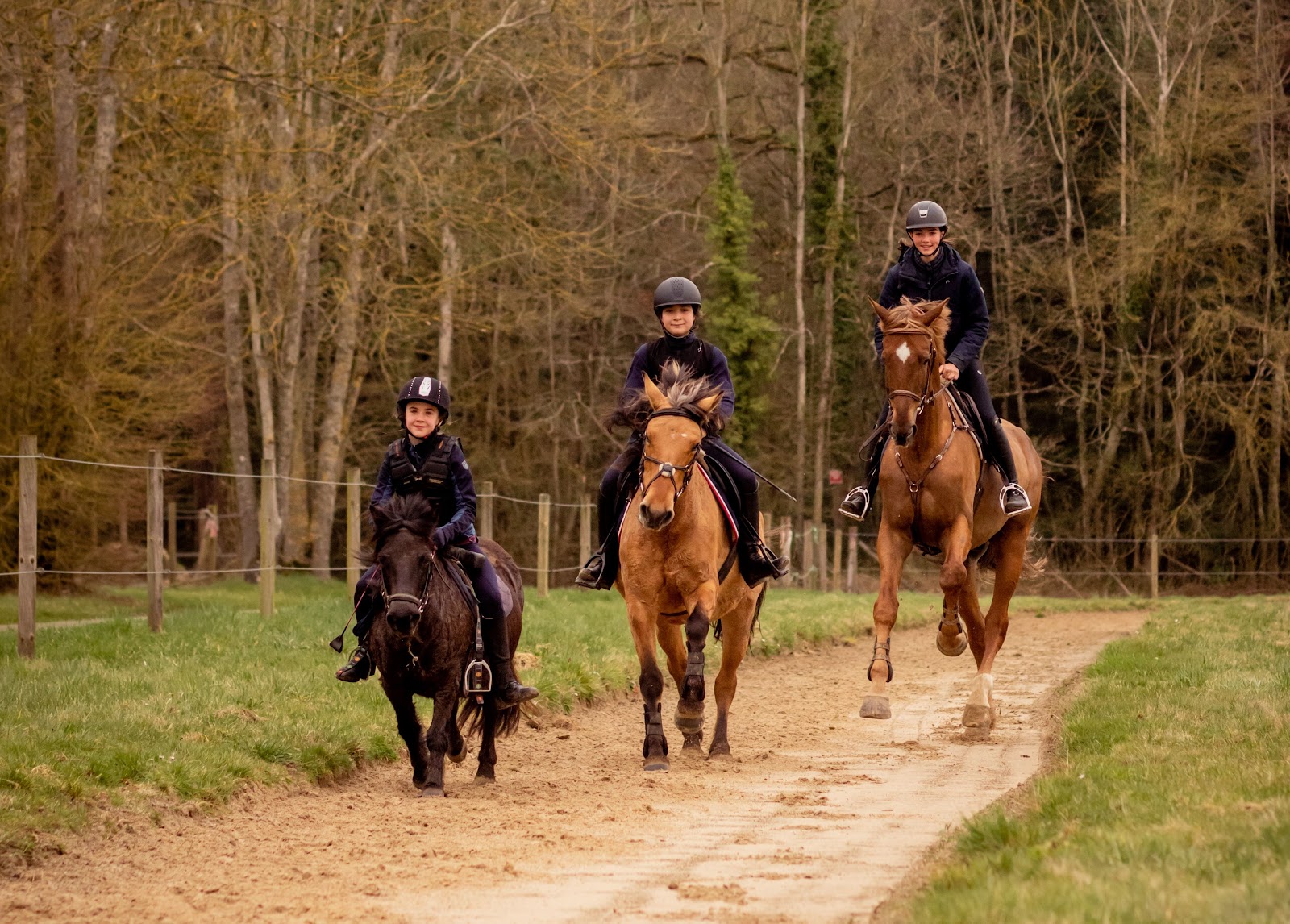 Photo de VILLAGE EQUESTRE DE CONCHES