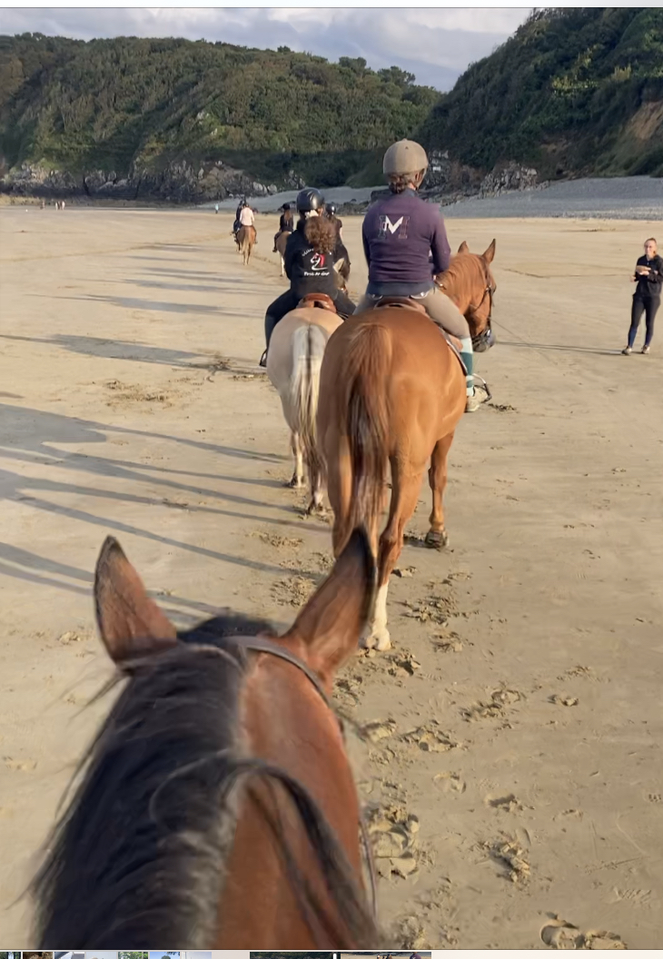 Photo de VILLAGE EQUESTRE DE POUL AR GAST
