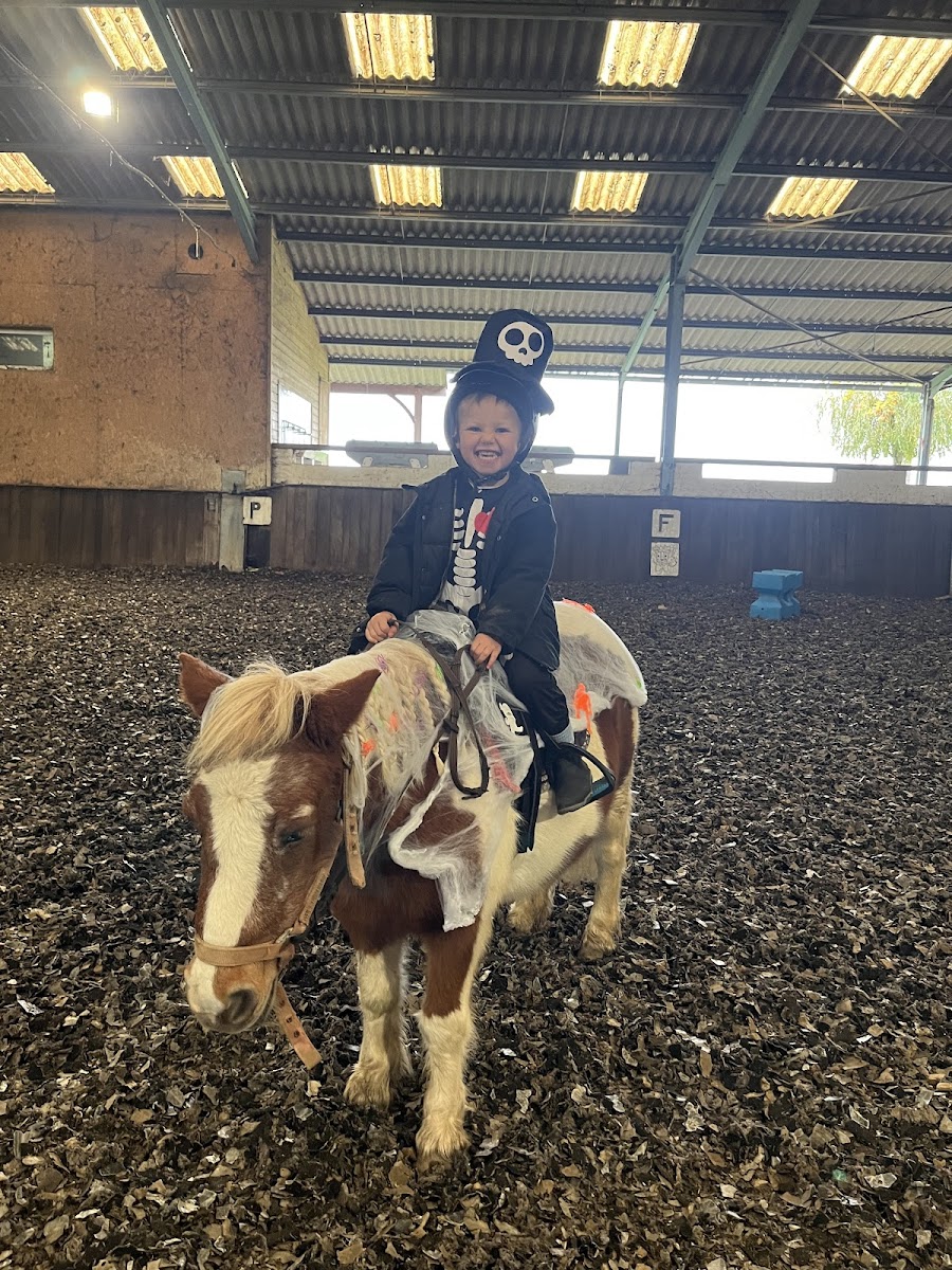 Photo de VILLENEUVE EQUITATION